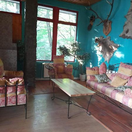Barlogul Ursilor Lepsa Hotel Bagian luar foto