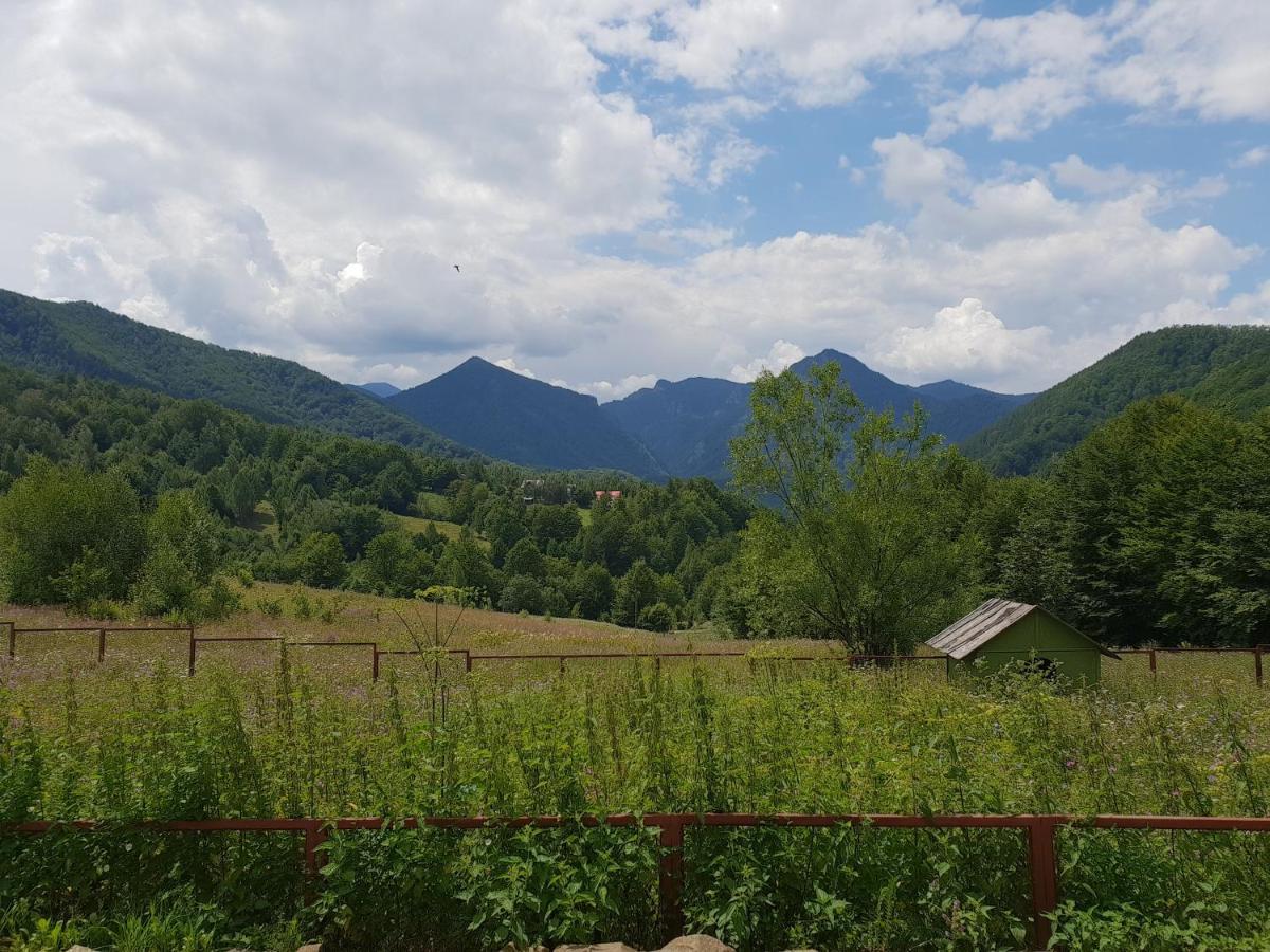 Barlogul Ursilor Lepsa Hotel Bagian luar foto