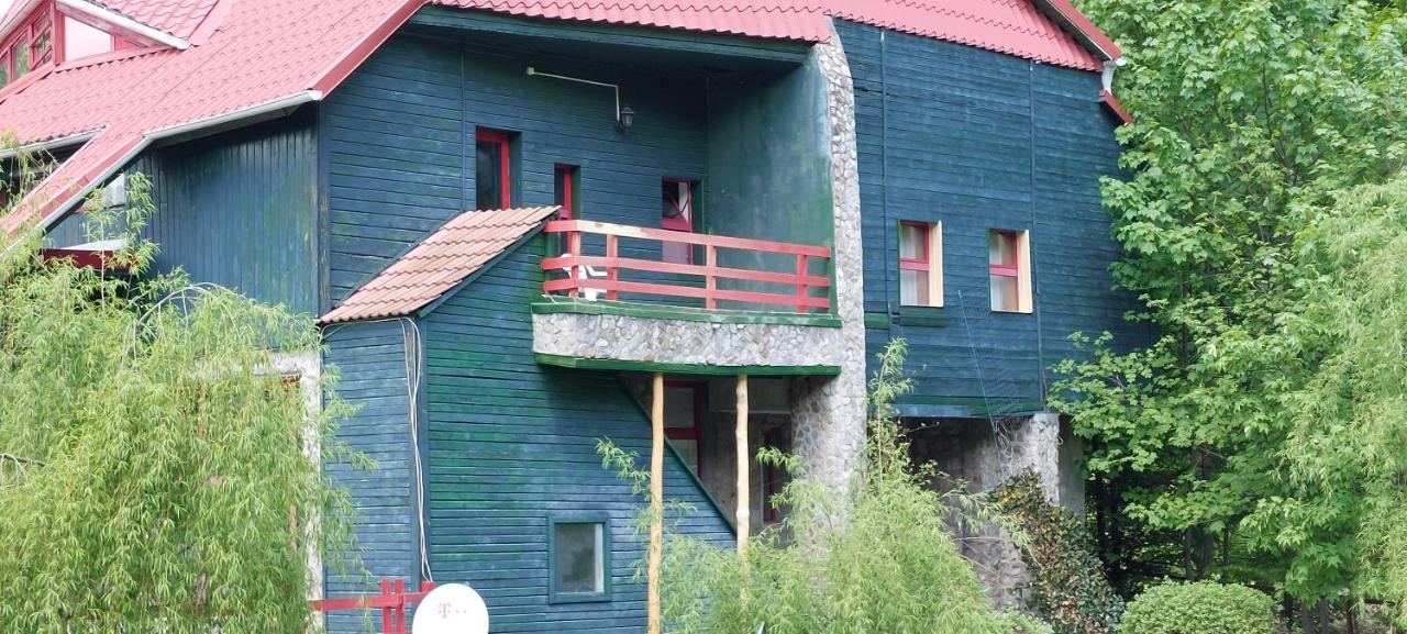 Barlogul Ursilor Lepsa Hotel Bagian luar foto
