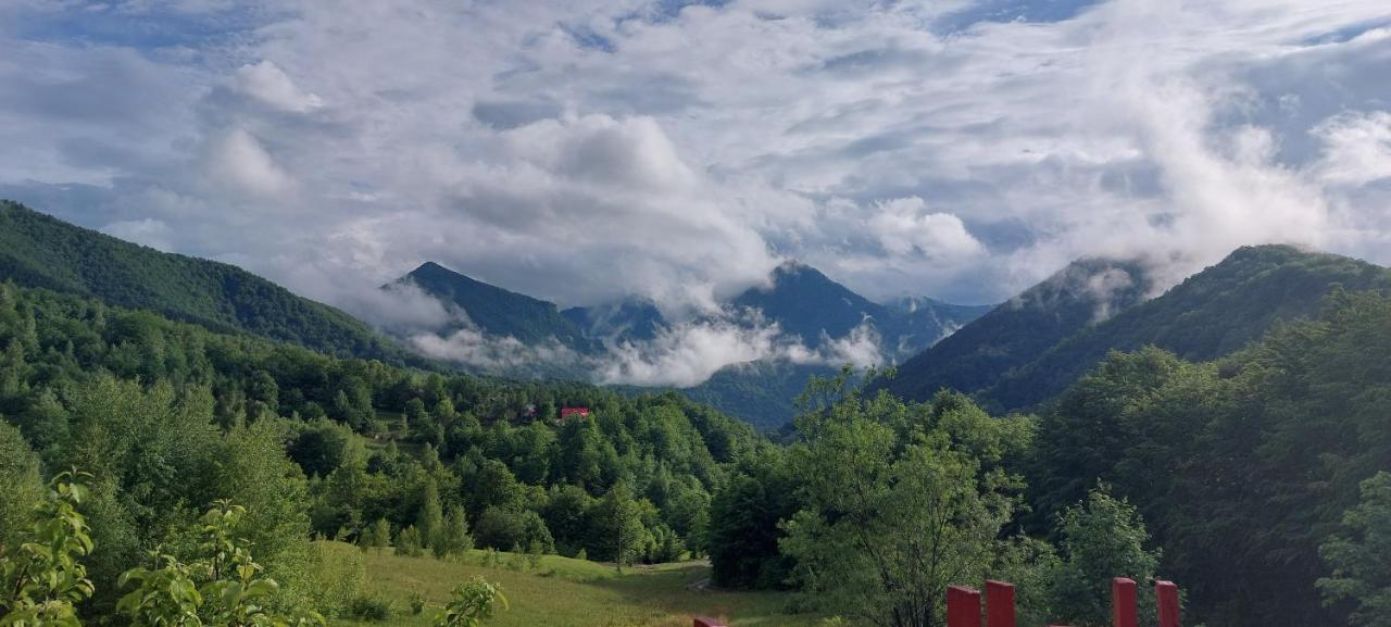 Barlogul Ursilor Lepsa Hotel Bagian luar foto