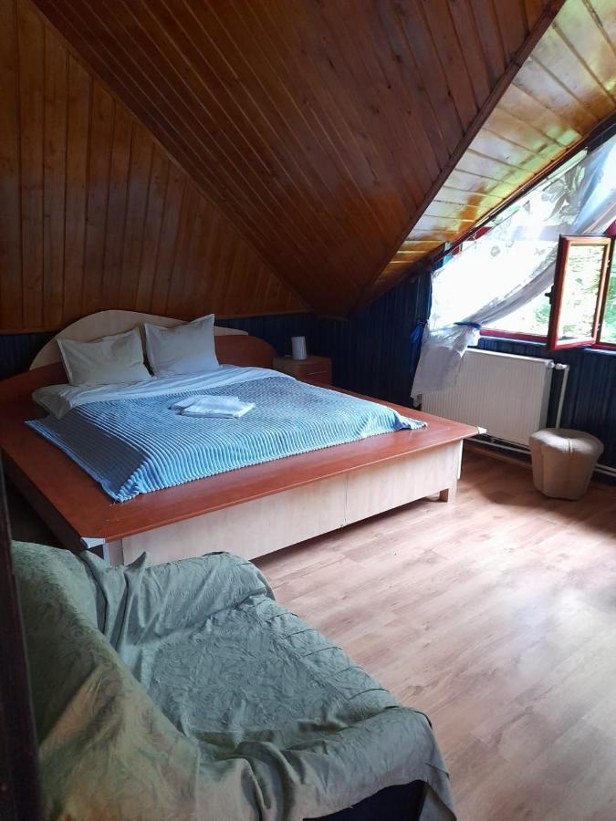 Barlogul Ursilor Lepsa Hotel Bagian luar foto
