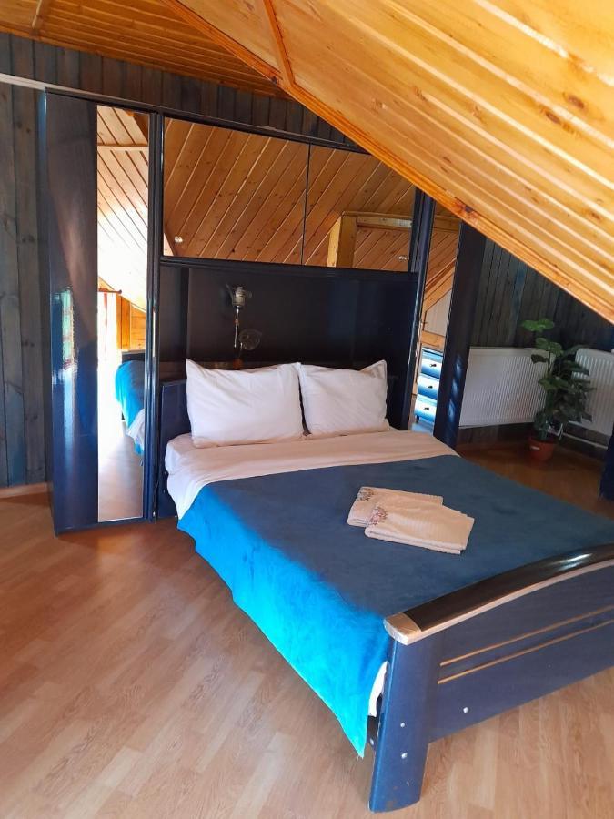 Barlogul Ursilor Lepsa Hotel Bagian luar foto