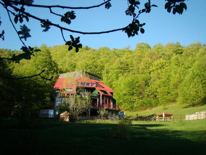 Barlogul Ursilor Lepsa Hotel Bagian luar foto