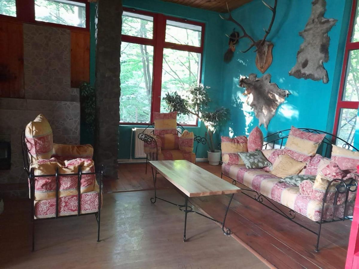 Barlogul Ursilor Lepsa Hotel Bagian luar foto