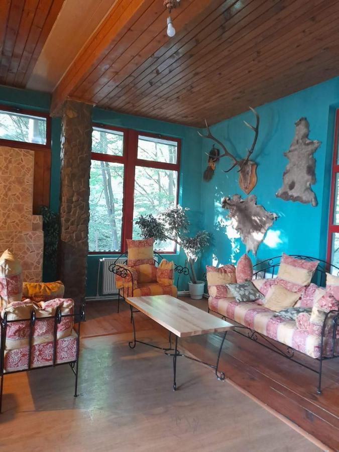 Barlogul Ursilor Lepsa Hotel Bagian luar foto