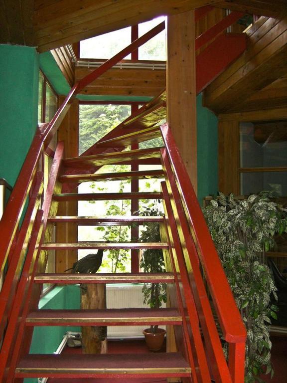 Barlogul Ursilor Lepsa Hotel Bagian luar foto